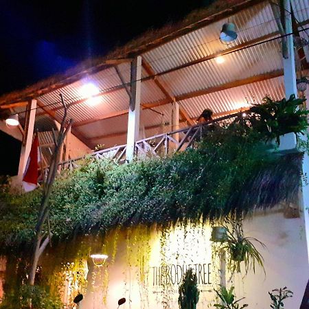 The Bodhi Tree Karimunjawa Exterior foto