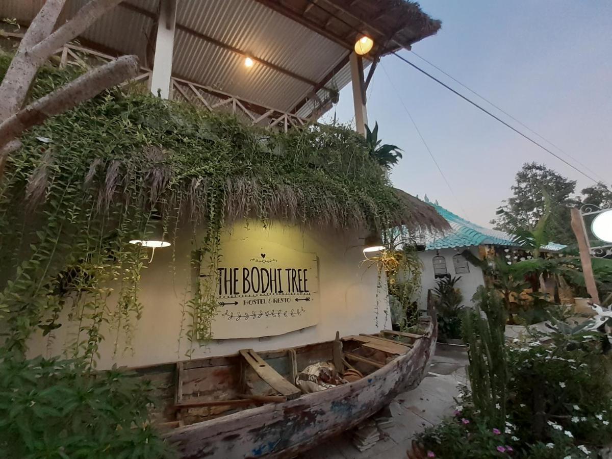 The Bodhi Tree Karimunjawa Exterior foto